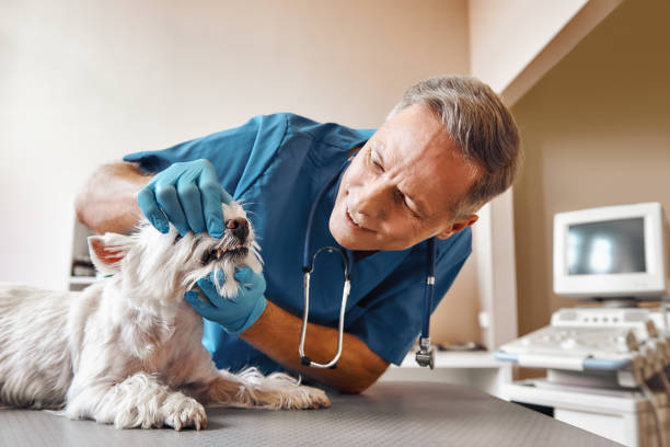 Best Emergency Tooth Extraction in Acworth, GA